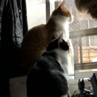 会員画像