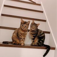 あやぽん13 会員画像