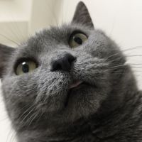 会員画像