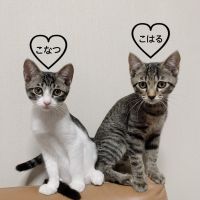 会員画像