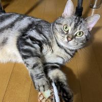 nanakoo 会員画像