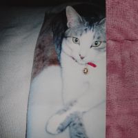 chakorinさん