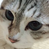 会員画像