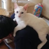 伯まま 会員画像