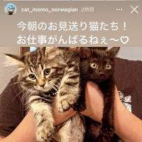 石狩さん