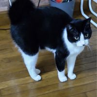 ざーさん 会員画像