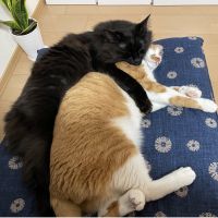 コウリュウ 会員画像