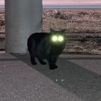 門脇 樹 会員画像