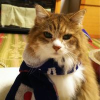 ショコラの母さん