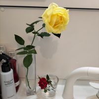 せんさん 会員画像