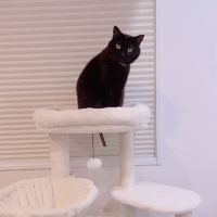 ふるさと 会員画像