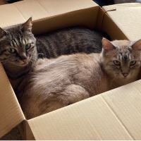 てるゐ 会員画像