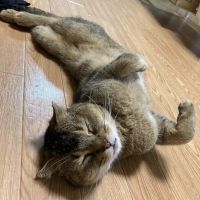 ご連絡お待ちしております 会員画像