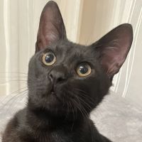 motoi_san 会員画像