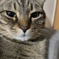 ウメノさん
