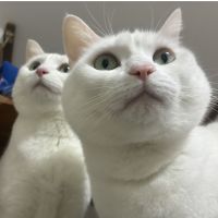 こばん34さん