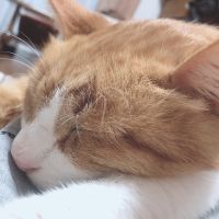 会員画像