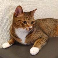 kakinagi 会員画像