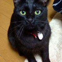 ジジたん 会員画像