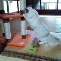 会員画像