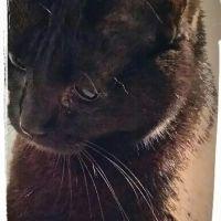 ゆっかyyy 会員画像