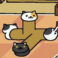 くまちん(^^) 会員画像