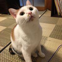 会員画像
