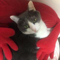 ちきーた27さん