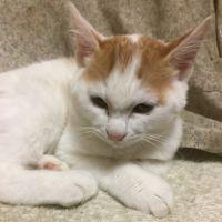donchan4242 会員画像
