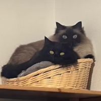 ユーサク 会員画像