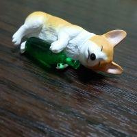 ゆきここ 会員画像