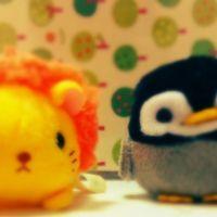 ぬこぬ 会員画像