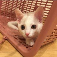 会員画像