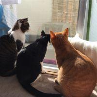 つきお 会員画像