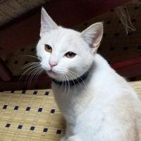 まりもっこ 会員画像