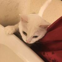 会員画像