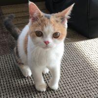 はらみ 会員画像