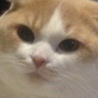 会員画像