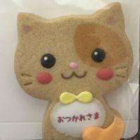 ジャレネコ 会員画像