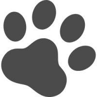 しばねこ03 会員画像
