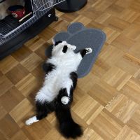 会員画像