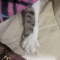 かびるんるん 会員画像