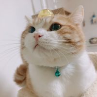 まざね 会員画像