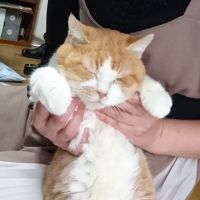 カズエモン 会員画像