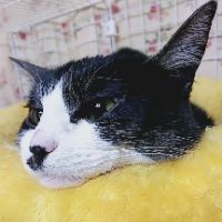 会員画像