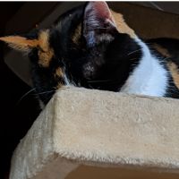 キューミィマリさん