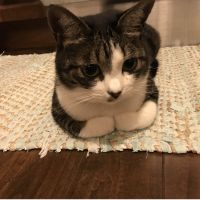 会員画像