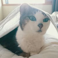 会員画像