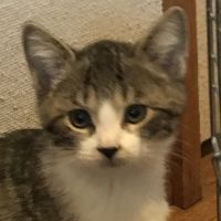 みやかな 会員画像