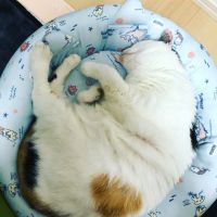 みけまる0505 会員画像